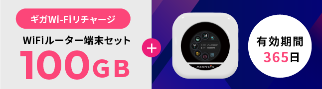 ギガWi-Fiリチャージ専用：WiFiルーター端末セット100GB