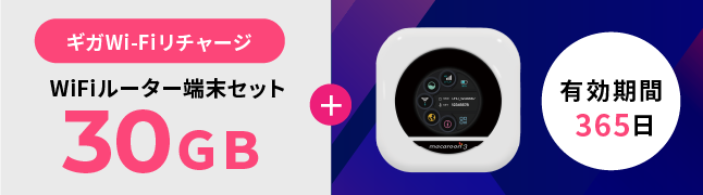 ギガWi-Fiリチャージ専用：WiFiルーター端末セット30GB